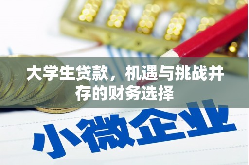 喀什大学生贷款，机遇与挑战并存的财务选择