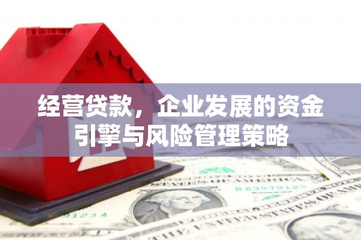 喀什经营贷款，企业发展的资金引擎与风险管理策略