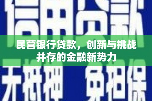 喀什民营银行贷款，创新与挑战并存的金融新势力