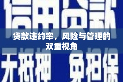 喀什贷款违约率，风险与管理的双重视角