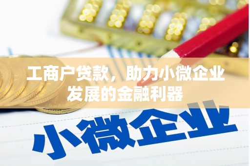 喀什工商户贷款，助力小微企业发展的金融利器