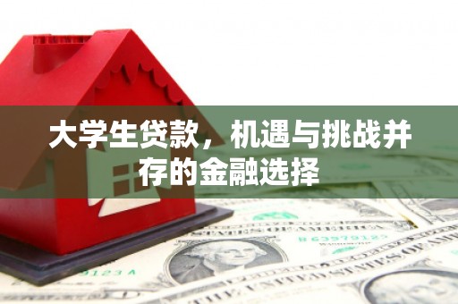 喀什大学生贷款，机遇与挑战并存的金融选择