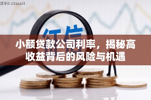 喀什小额贷款公司利率，揭秘高收益背后的风险与机遇