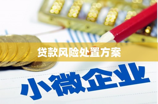 喀什贷款风险处置方案