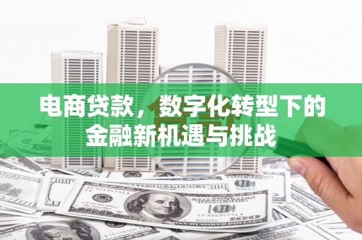喀什电商贷款，数字化转型下的金融新机遇与挑战