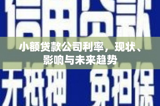 喀什小额贷款公司利率，现状、影响与未来趋势