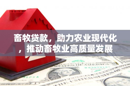 喀什畜牧贷款，助力农业现代化，推动畜牧业高质量发展