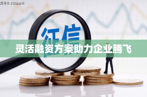 喀什灵活融资方案助力企业腾飞