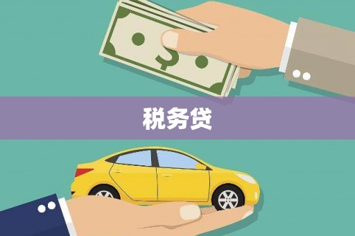 喀什税务贷
