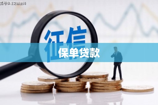 喀什保单贷款