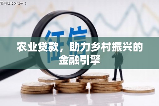 喀什农业贷款，助力乡村振兴的金融引擎