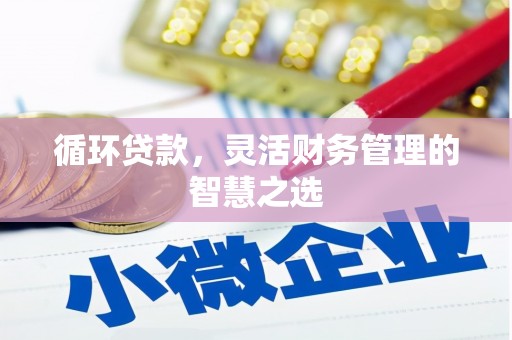 喀什循环贷款，灵活财务管理的智慧之选
