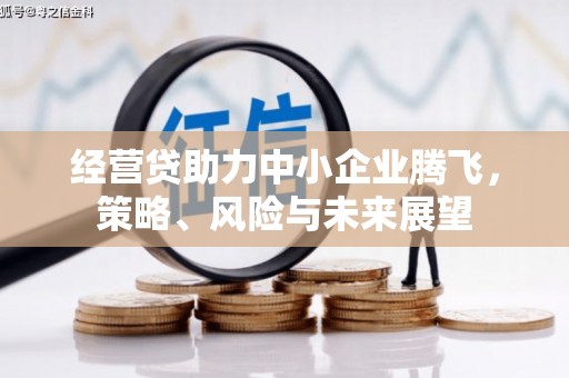 喀什经营贷助力中小企业腾飞，策略、风险与未来展望