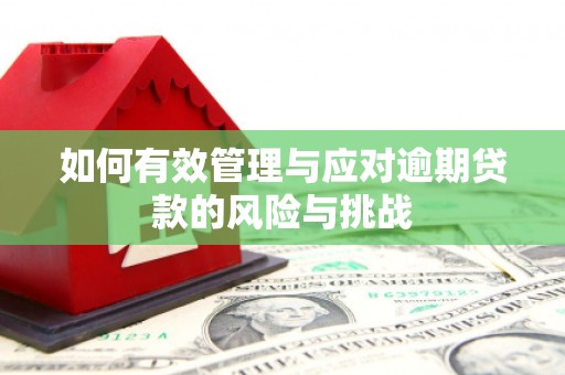 喀什如何有效管理与应对逾期贷款的风险与挑战