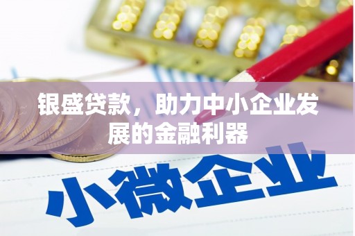 喀什银盛贷款，助力中小企业发展的金融利器