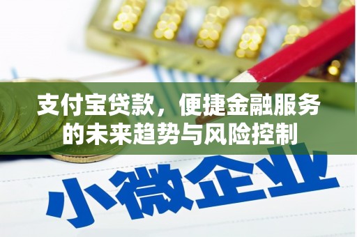 喀什支付宝贷款，便捷金融服务的未来趋势与风险控制