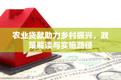 喀什农业贷款助力乡村振兴，政策解读与实施路径