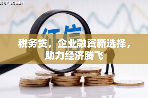 喀什税务贷，企业融资新选择，助力经济腾飞