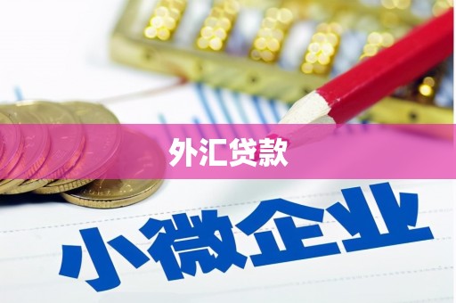 喀什外汇贷款