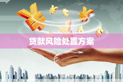 喀什贷款风险处置方案