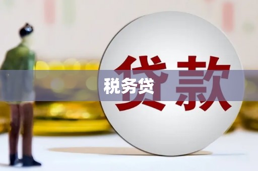 喀什税务贷