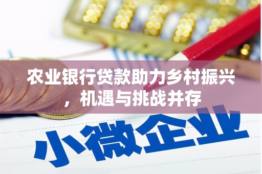 喀什农业银行贷款助力乡村振兴，机遇与挑战并存