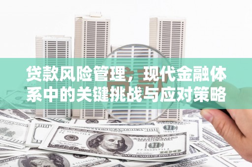 喀什贷款风险管理，现代金融体系中的关键挑战与应对策略