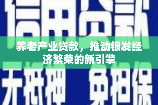 喀什养老产业贷款，推动银发经济繁荣的新引擎