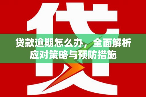 喀什贷款逾期怎么办，全面解析应对策略与预防措施