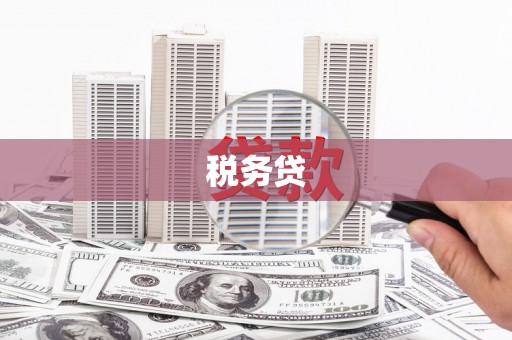 喀什税务贷