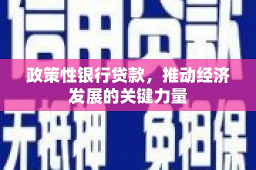喀什政策性银行贷款，推动经济发展的关键力量