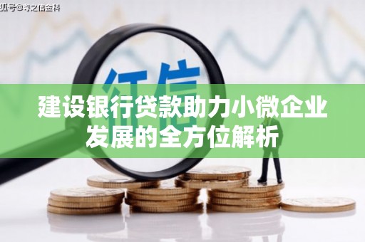 喀什建设银行贷款助力小微企业发展的全方位解析