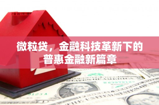 喀什微粒贷，金融科技革新下的普惠金融新篇章