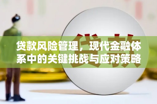 喀什贷款风险管理，现代金融体系中的关键挑战与应对策略