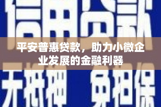 喀什平安普惠贷款，助力小微企业发展的金融利器