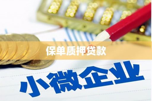 喀什保单质押贷款