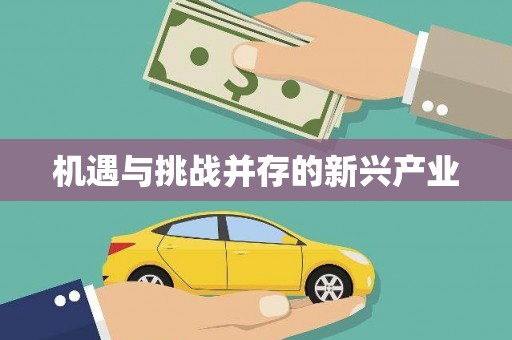 喀什机遇与挑战并存的新兴产业