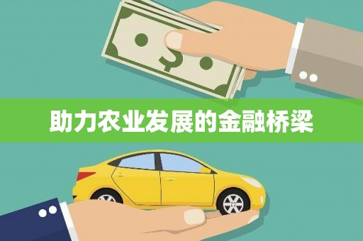 喀什助力农业发展的金融桥梁