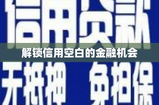 喀什解锁信用空白的金融机会