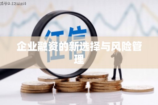 喀什企业融资的新选择与风险管理