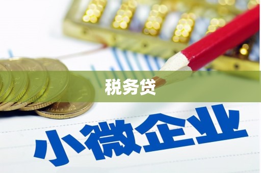 喀什税务贷