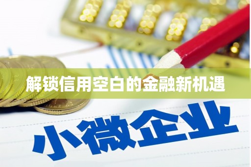 喀什解锁信用空白的金融新机遇