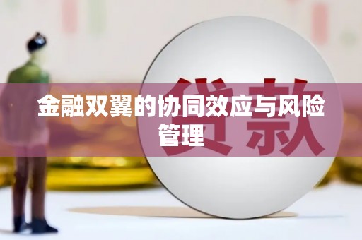 喀什金融双翼的协同效应与风险管理