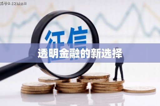 喀什透明金融的新选择